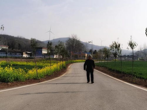 中原云裳牧場 魯山縣生態旅游新地標，點亮東部文旅新版圖